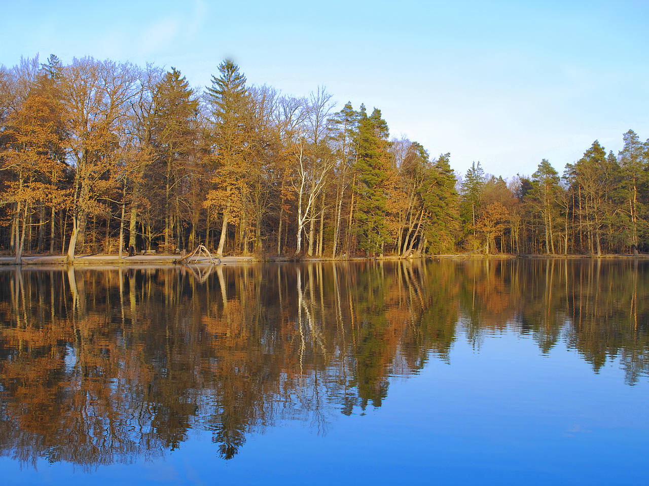 Bärenschlössle Fotografie Reiseführer  Idylle und Natur pur am Pfaffensee