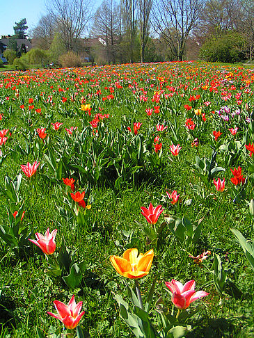 Foto Sindelfingen - Sindelfingen