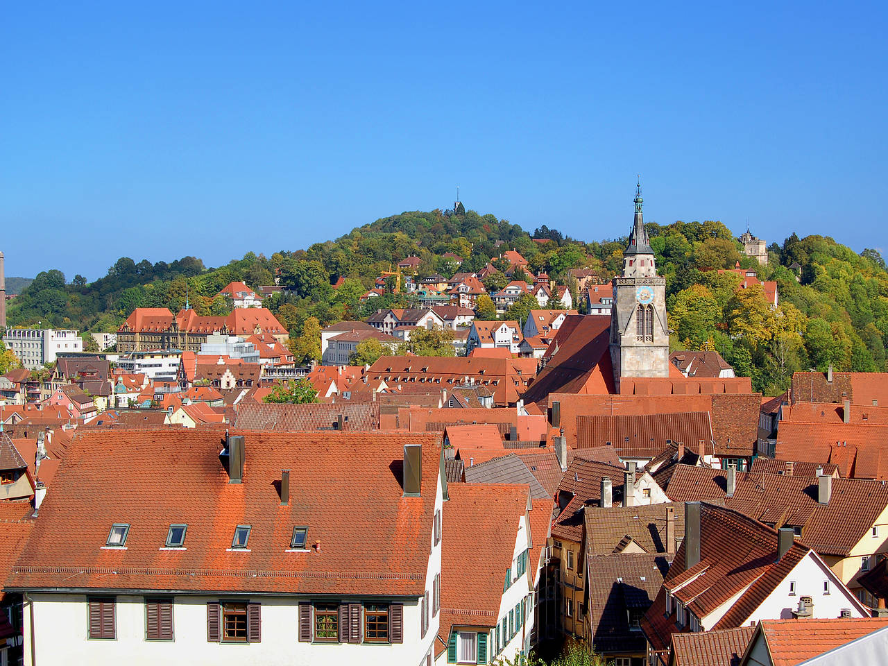 Tübingen Stiftskirche Fotos